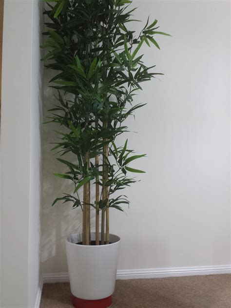Formidable Ikea Fake Bamboo Plants Imitation Christmas Trees For Sale