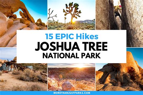 15 Amazing Hikes In Joshua Tree National Park Helpful Guide