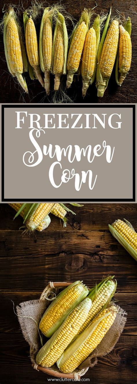 Maybe you would like to learn more about one of these? Freezing Corn | Recipe (With images) | Freezing fresh corn ...
