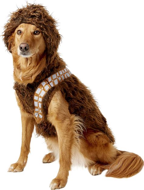 9 Best Star Wars Dog Halloween Costumes Daily Paws