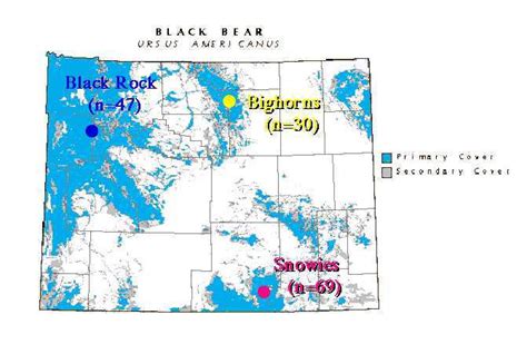 Lect 9 Black Bear Case History