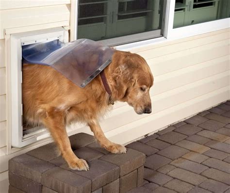 The 7 Best Dog Doors In 2023 For Large Dogs 🥇 The Dog Visitor News