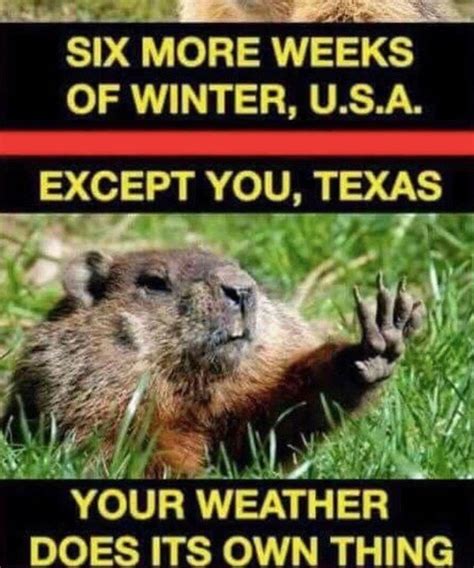 These Memes Illustrate Just How Weird Austin Texas Weather Is