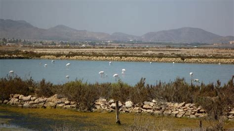 España El Senado Aprueba Ley Que Declara Laguna Mar Menor Como Persona