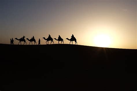 Hd Wallpaper Two Camel Under White Clouds Painting People Silhouette
