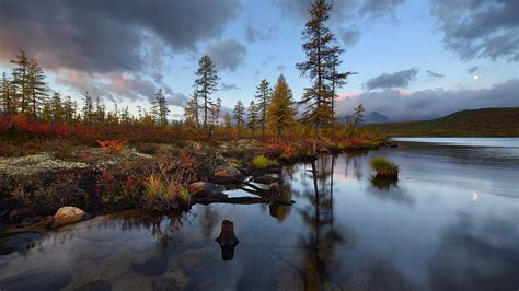 Kolyma Jack London Lake Trees Autumn London In Autumn Hd Wallpaper