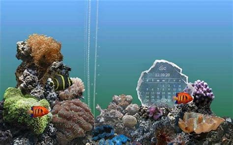 Serenescreen Marine Aquariumx Customization