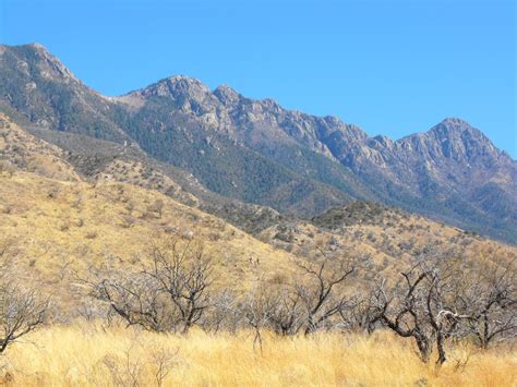 Santa rita mountains is situated west of rosemont camp, southwest of weigles butte. Wanderings through Arizona: Santa Rita Mountains