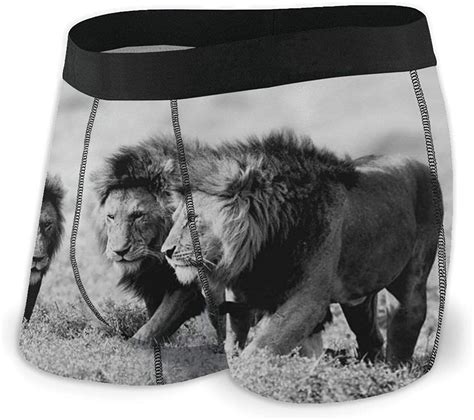 Animals Lion Mens Underwear Soft Boxer Briefs Mens Vibe Boxer Briefs