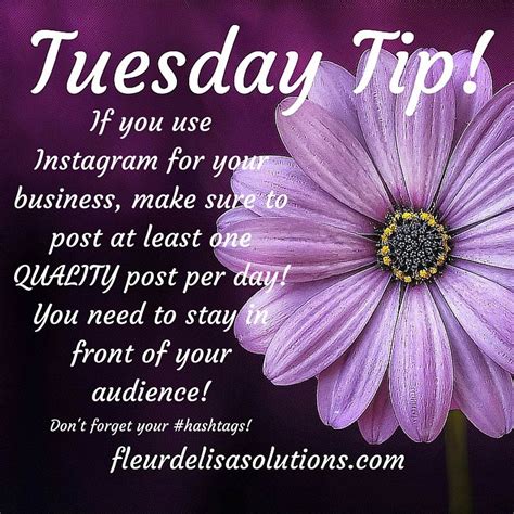 Tuesday Tip 6 7 16 Post At Least One Quality Post Per Day On Instagram