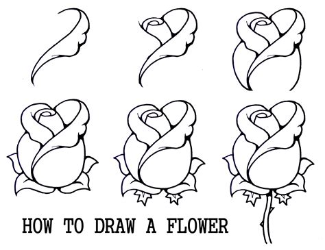 Line Drawings Of Flowers Line Drawing Flower Drawing Roses Drawing