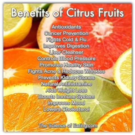 Benefits Of Citrus Fruits The Food Hotlist