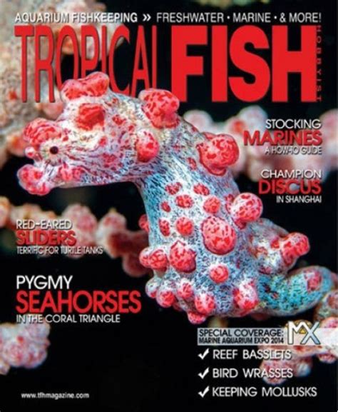 Tropical Fish Hobbyist Magazine Subscription Magsstore