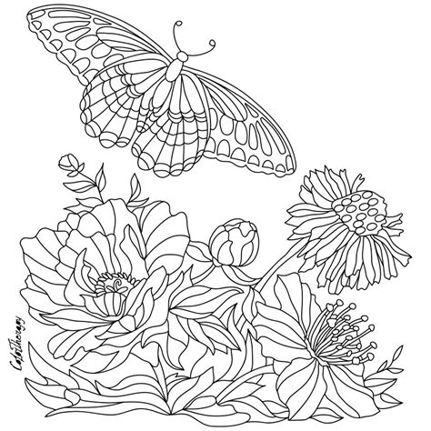 Pin By Kathy On Colouring Butterfly Coloring Page