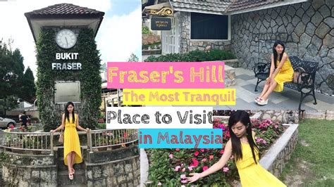 For fun and adventure, you can also explore your options in things to do in malaysia. Fraser Hill Malaysia : The Most Tranquil Highland Places ...