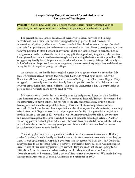 College Essay Examples Free Pdf Format Download Examples Twelve College Essay Examples