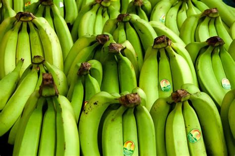 10 Amazing Facts About Bananas - Brand New Vegan