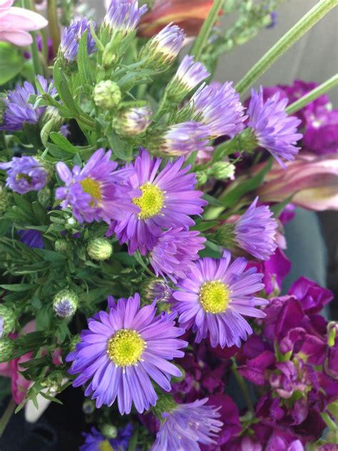 Purple wildflowers | Purple wildflowers, My wedding, Wild ...