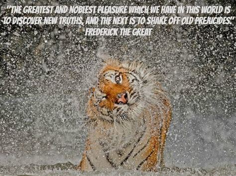 Freedom Empowering Quotes National Geographic Photo Contest