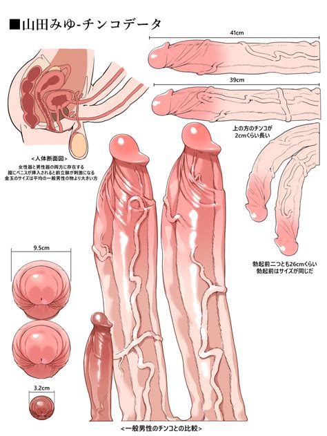 Gambar Diagram Pareto Jenis Defect Download Scientific Diagram Porn Sex Picture
