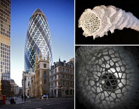 10 Stunning Examples Of Biomimicry In Architecture Rtf