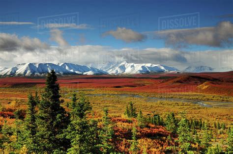 Alaska Range Autumn Taiga Denali National Park Alaska Usa Stock