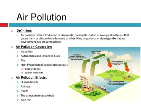 Which brings about the sources and causes of environmental pollution includes the following: Environment & Environmental pollution, causes, effects ...