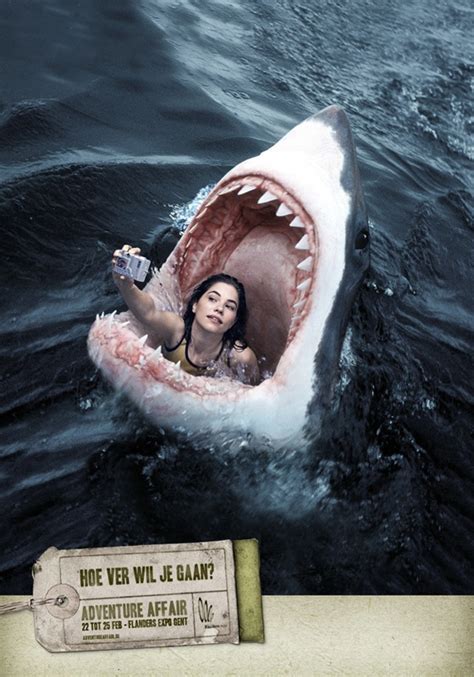 45 Best Great White Shark Images On Pinterest Sharks