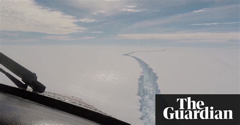 Scientists Race To Explore Antarctic Marine Life Revealed By Giant