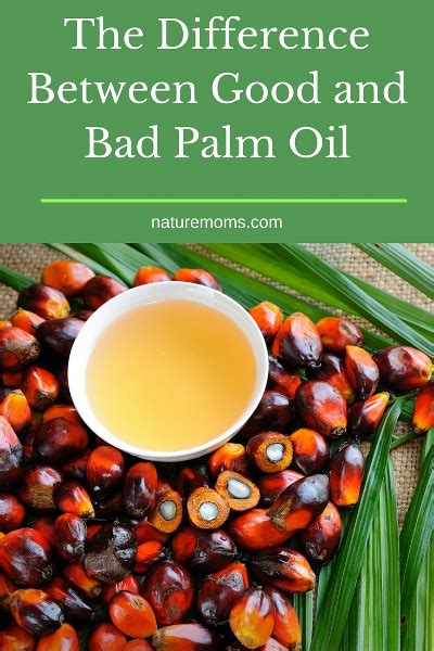 The Difference Between Good And Bad Palm Oil