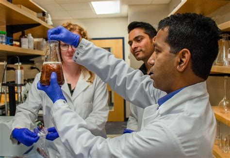 Eating Seaweed Is Popular So Researchers Investigate If It Stands Up