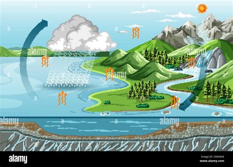 Water Cycle Diagram Evaporation With Nature Landscape Scene