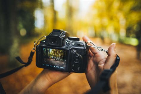 Learn To Use Your Dslrs Automatic Modes