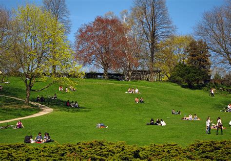 The Best Parks To Have A Picnic In Toronto