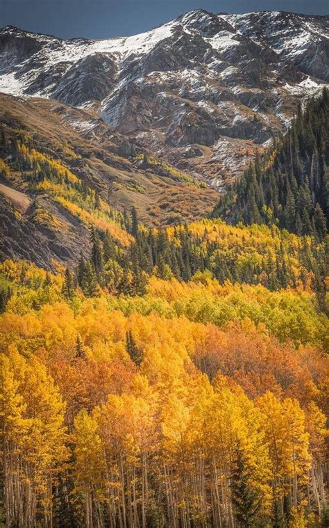 Stairway To Heaven Autumn Colors Ouray Co Photo By Valerie Millett