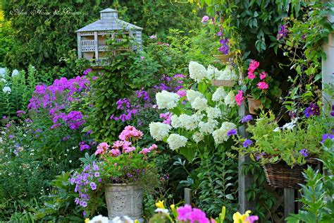 The six seasons is summer, rainy, autumn, late the beauty of the garden will be enhanced a lot for thousands of dahlia flower. Protecting Your Gardens From Summer Heat And Drought ...