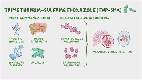 Antibiotics Trimethoprim And Sulfonamides Nursing Pharmacology