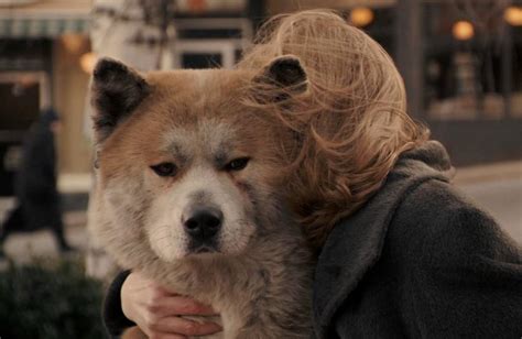 Hachi A Dogs Tale 2009