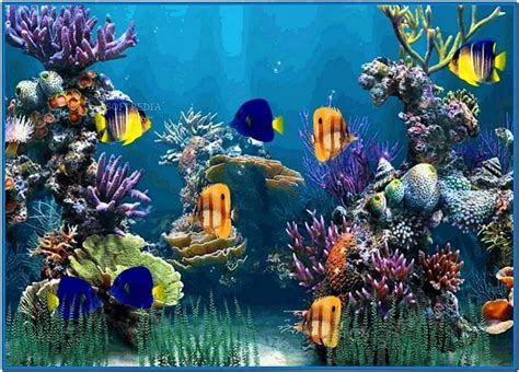 Aquarium Desktop Animated Screensaver Download Screensaversbiz