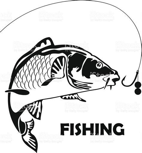 Carp Fishing Vector Illustration Royalty Free Stock Vector Art Fish