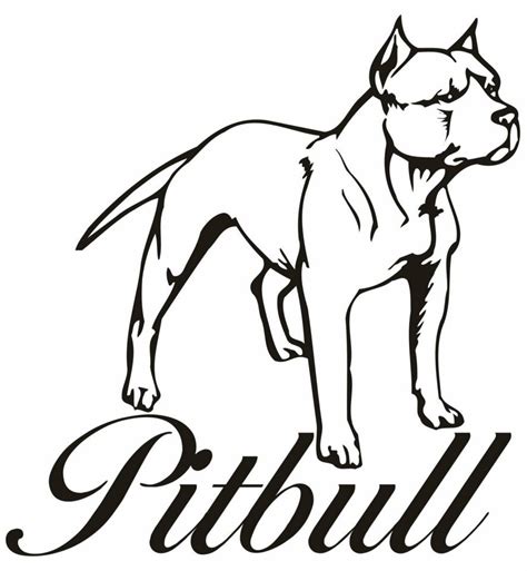 Pitbull Line Drawing At Getdrawings Free Download