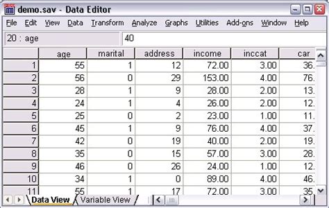 Reading Ibm Spss Statistics Data Files