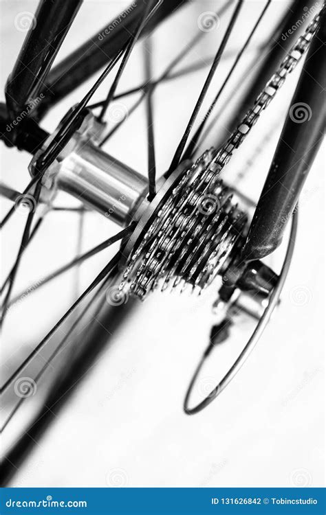 Spoked Bicycle Wheel And Cassette Gears In Motion Stock Photo Image