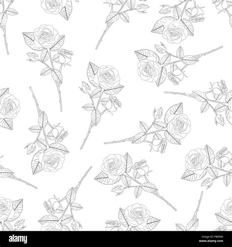 Rose Bouquet Outline On Black Background Vector Illustration Stock