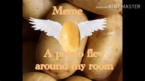 Press to play the sound: A potato flew around my room meme - YouTube