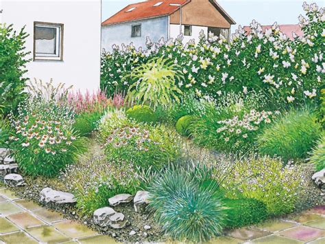 Die pflanzen werden vier bis sieben meter hoch und sind eine ideale baumart für kleine und große gärten. Pin auf garten