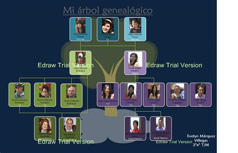 Un árbol genealógico se define como un diagrama o representación gráfica que muestra las relaciones familiares o muestra la historia familiar de manera organizada y sistemática; proyectosTICsEvelyn