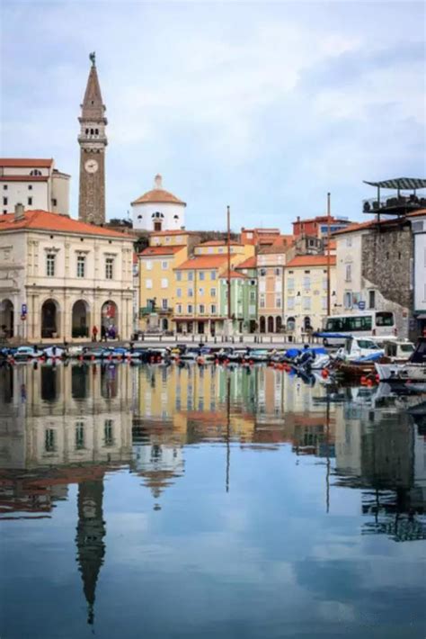 陳時中在理事長任內 獨排眾議，說服全臺牙醫界響應「總額制」，成為第一個響應健保總額制的科別，得益甚多 。 「總額制」也避免健保預算無限膨脹，後續中醫、西醫基層也跟進響應，陳時中對該制度的推動貢獻很大 6 。 唯有美食、美景不可辜負!斯洛維尼亞最高評的美食攻略推薦! - 每日頭條