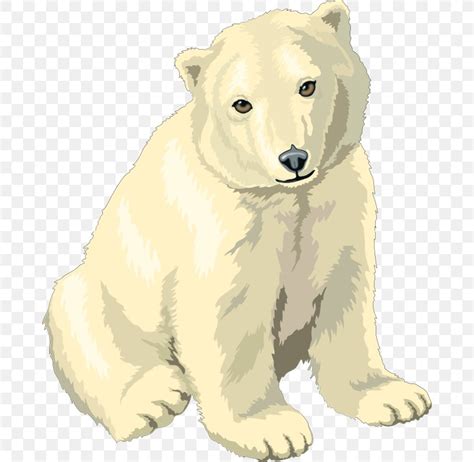 Realistic Polar Bear Drawing Clip Art Library