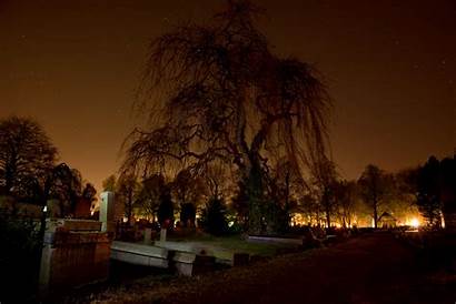 Graveyard Spooky Cemetery Night Dark Tree 4k